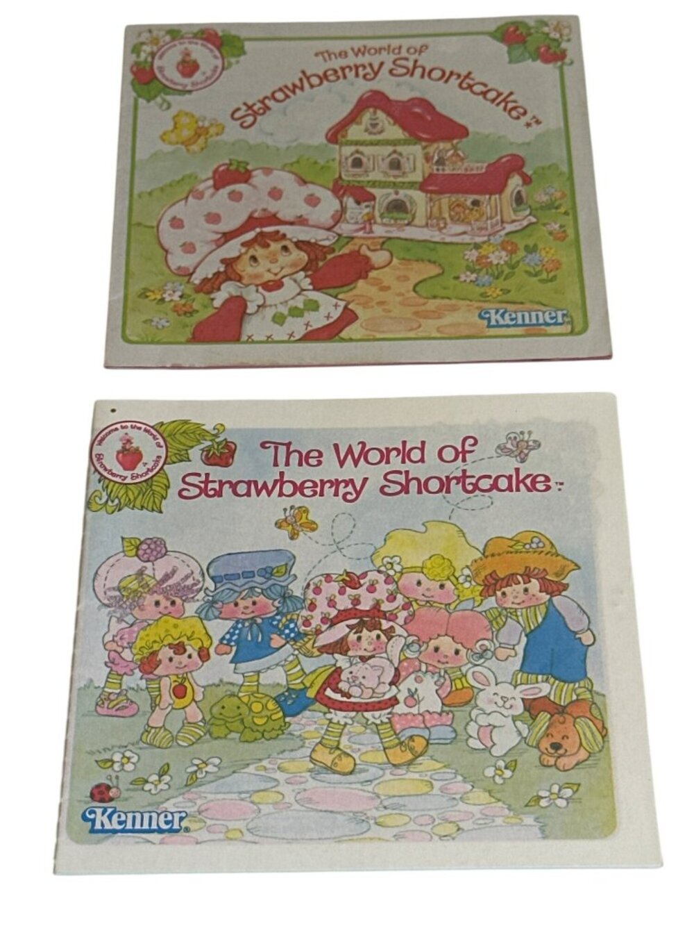 Strawberry Shortcake Lot of 2 Catalogs Toy Advertising Kenner 1980s Ephemera